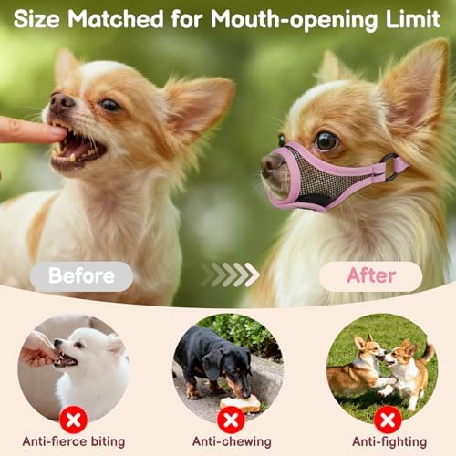 Mayerzon dog muzzle demonstrating comfort for Shih Tzu breed