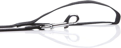 SALO durable one inch wide nylon fabric walking lead details