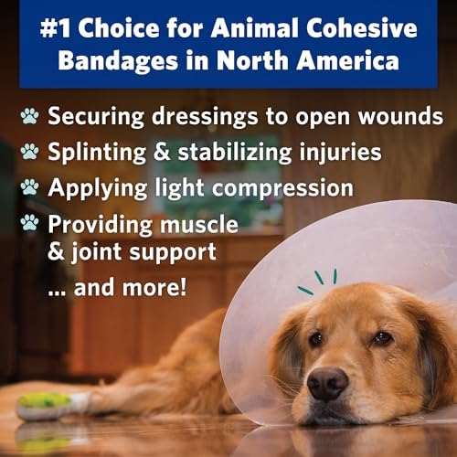 Six pack of cohesive pet bandages with bone and heart patterns for wound care.