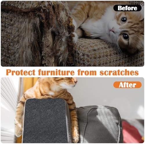 Domestic feline scratching happily on the heavy duty dark gray Inchoco wall mounted protection pad.