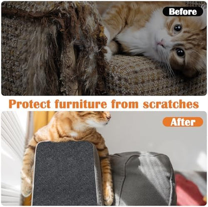 Domestic feline scratching happily on the heavy duty dark gray Inchoco wall mounted protection pad.