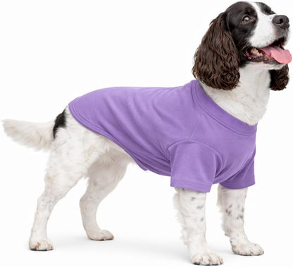 Lovelonglong Pet Clothing Dog Costumes Dachshund Clothes Blank T-Shirt Tee Shirts for Dachshund Dogs,Corgi 100% Cotton White D-M - Image 11