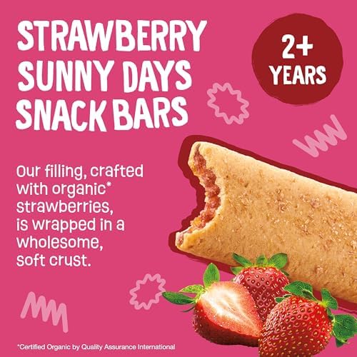 USA imported Earth's Best Organic toddler cereal crust bars with real fruit filling