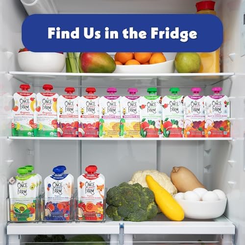 Nutritious organic blueberry snack for children