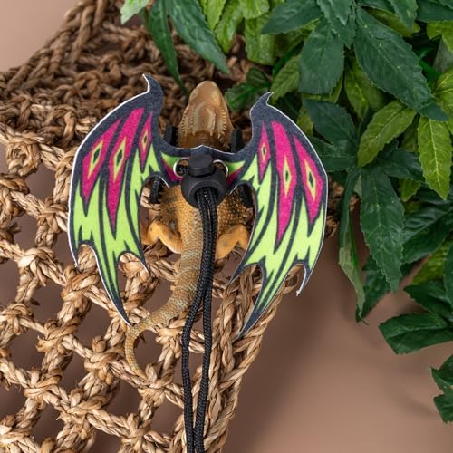 Packaging presentation of the COMSUN imported reptile adventure kit containing all multi size harness components.