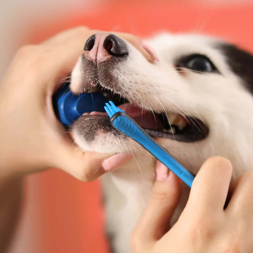 Side profile of Paw Ready dental assistant for dogs