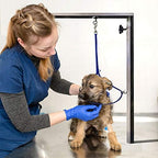 Professional groomer using Jelly Pet loop on a grooming table