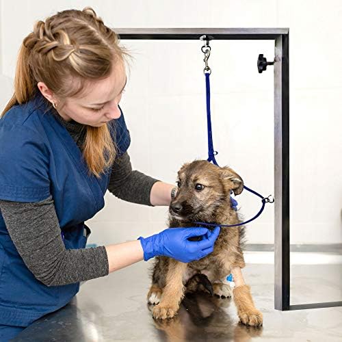 Professional groomer using Jelly Pet loop on a grooming table