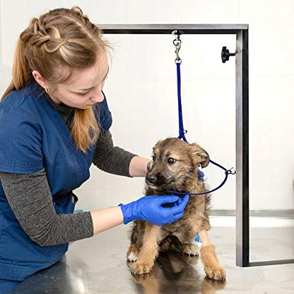 Professional groomer using Jelly Pet loop on a grooming table