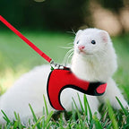 Rypet guinea pig and ferret vest close up