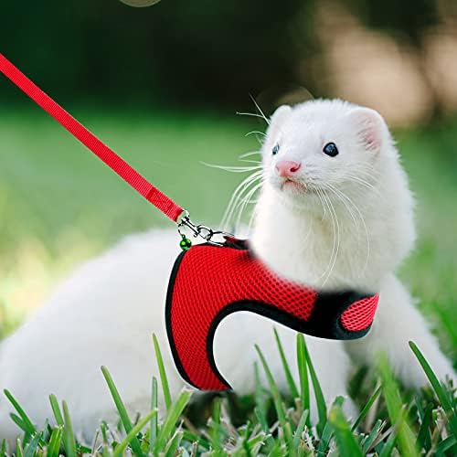 Rypet guinea pig and ferret vest close up