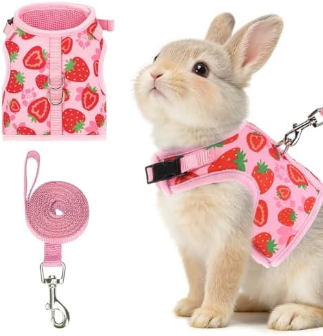PUPTECK adjustable small pet vest showing secure hook-and-loop straps and plastic buckle closure.