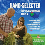 Small Pet Select 3rd Cutting Timothy Hay soft leafy strands close up