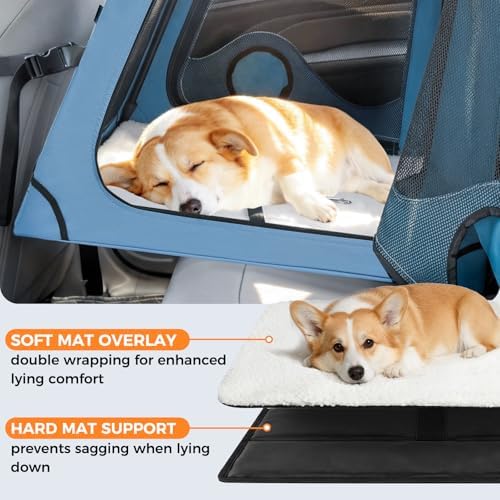 Interior of Snagle Paw travel carrier highlighting the removable machine washable mat
