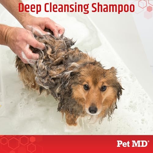 Soap free and paraben free dog shampoo for itchy skin relief