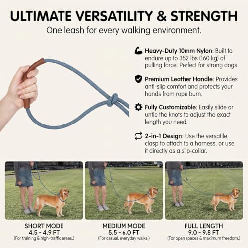Tails And Tales adjustable 9.8 feet dog leash extended fully on a walking path.