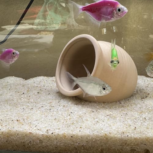Side view of Yiszm sand inside a glass terrarium