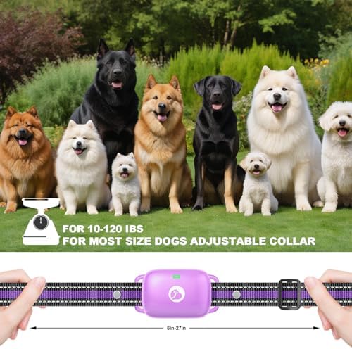 Adjustable pet training collar fitted comfortably on a medium breed dog