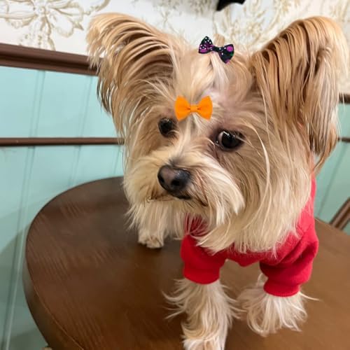 Various pattern pet hair bows in a 40 piece set
