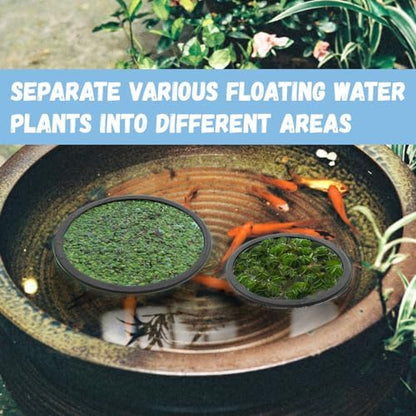 Planted tank presentation utilizing black floating rings to manage surface plant growth