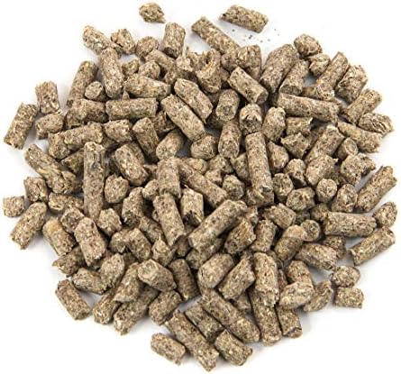 Adult rabbit eating Small World pelleted feed