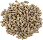Adult rabbit eating Small World pelleted feed
