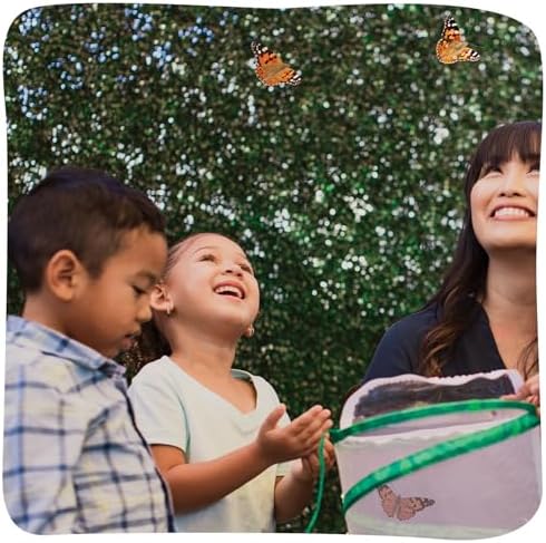 Insect Lore Raise and Release Butterfly Garden Kit – Caterpillar Habitat with redeemable Voucher – STEM-accredited Butterfly Growing Kit for Kids, Classrooms, and Homeschool Learning - Image 7
