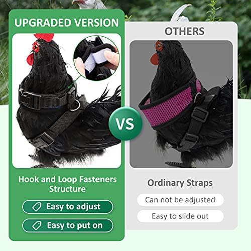 Adhafera chicken harness side profile with red bow accent