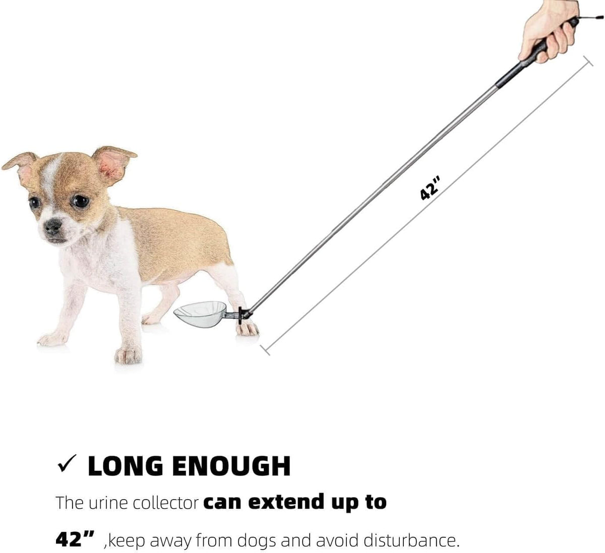 Interchangeable reusable spoons for small and large female dog urine testing
