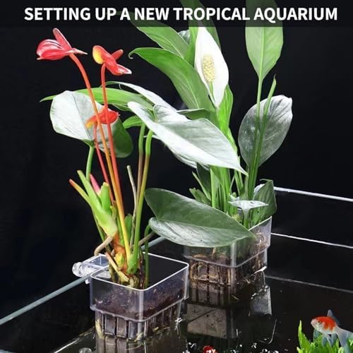 GLEFLE fish tank plant pot with live plant roots growing through the bottom into the aquarium water.