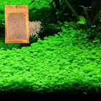 Natural aquatic plant growth material establishing a green lawn in a fish tank foreground.