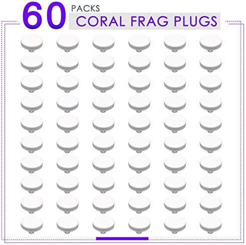 High temperature fired ceramic coral bases for reef tanks
