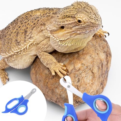 BOXOB reptile nail trimmer and file set displayed on clean background.