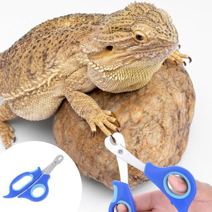 BOXOB reptile nail trimmer and file set displayed on clean background.