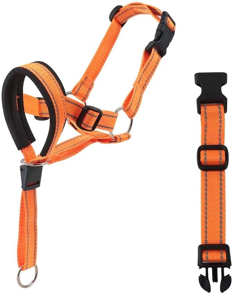 Barkless canine training collar showing the secure metal safety link attachment close up