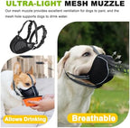 Dog wearing Zoomtail muzzle illustrating comfortable fit