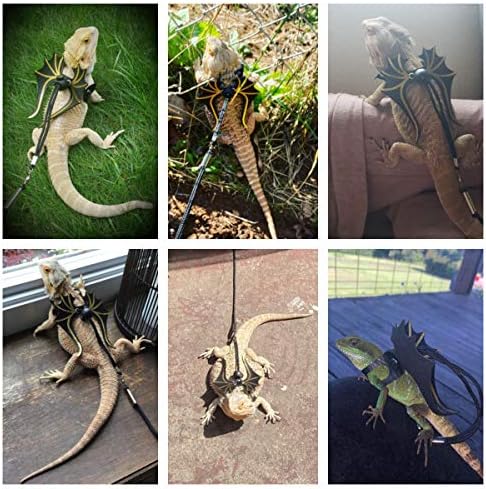 Adoggygo reptile leash set with dinosaur wings displayed