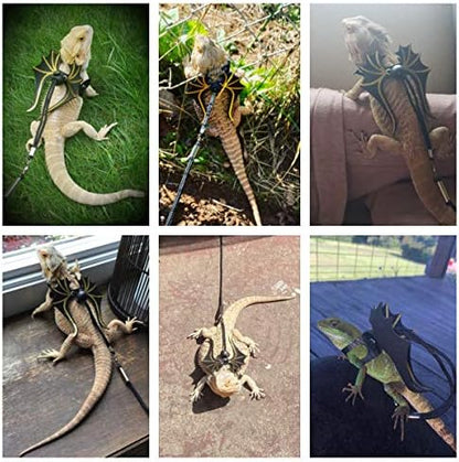 Close up of soft leather harness and durable nylon leash for lizards