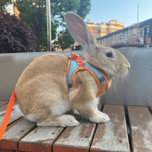 SQUSIMEI bunny harness kit packaging details for small pets and rabbits