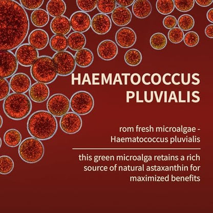 Close up of 12mg astaxanthin softgels indicating the natural dark red color derived from pure microalgae extract