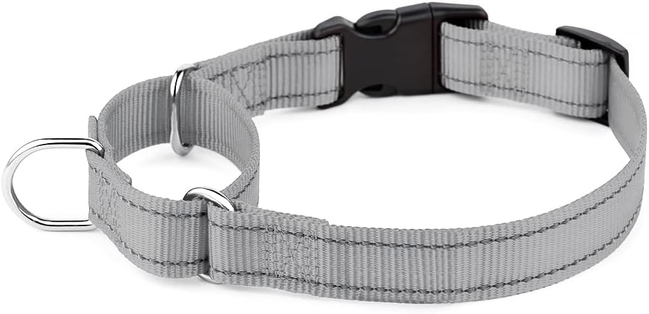PLUTUS PET Reflective Martingale Collar with Quick Snap Buckle,No Pull Dog Choker Collar for Small Medium Large Dogs,M,Hot Pink - Image 15