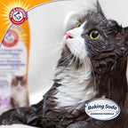Texture and consistency preview of the moisturizing cat wash formula