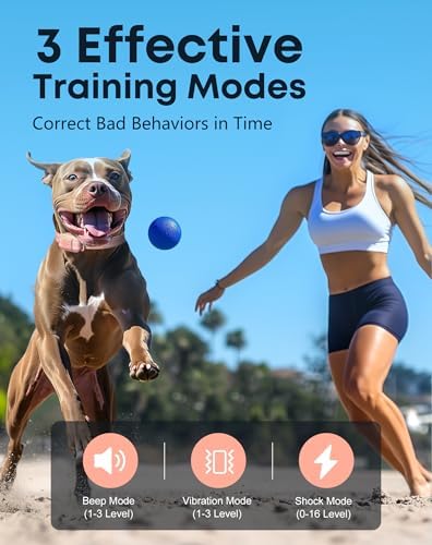 Handheld remote trainer with security lock and LCD screen for dogs