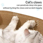 Comfortable bowl shaped cat scratching bed designed for healthy feline sleeping postures
