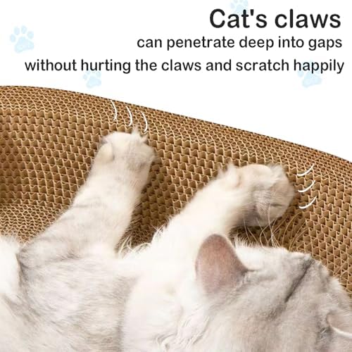Comfortable bowl shaped cat scratching bed designed for healthy feline sleeping postures