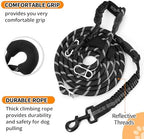 Neoguly leash reflective stitching feature
