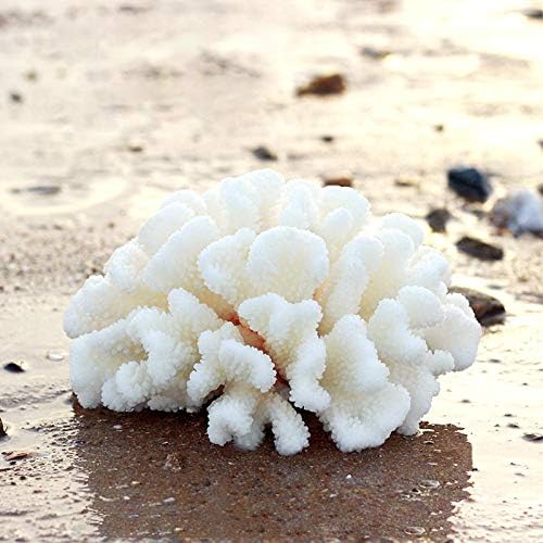 Besimple two pack coral ornament displayed in packaging