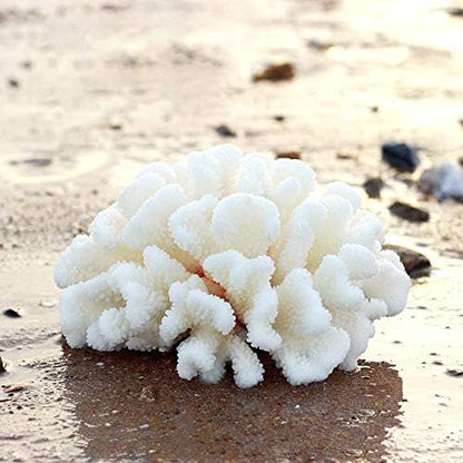 Besimple marine reef replica underwater sea plant decoration close up view