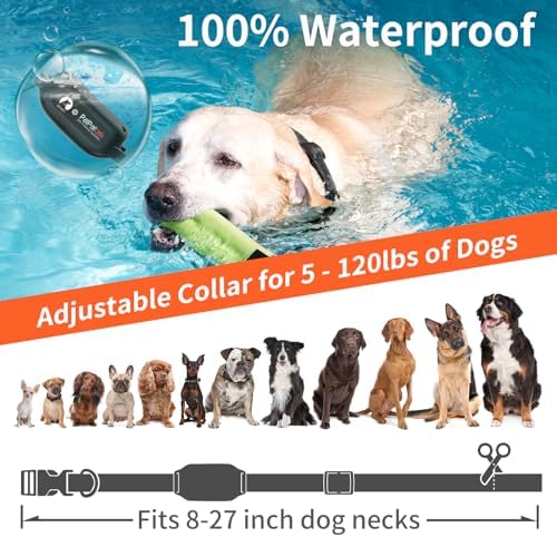 PaiPaitek multi dog training system highlighting the secure prongless design on the receiver straps.