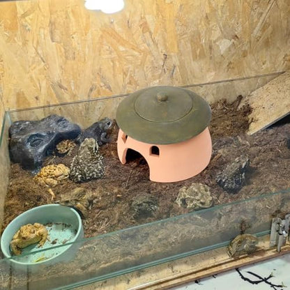 Frog and Toad House 8 x 6Inch Toad House for Outside Garden Reptile Cave Red Pottery Ceramics Small Reptile Cave Hide Reptile Hides and Caves Snake Toad Frog Turtle House Green with Lid - Image 6